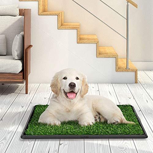 LOMANTOWN Fake Grass Dog Potty Pad Portable Dog Turf Trainer Grass with Tray, 30"x20"