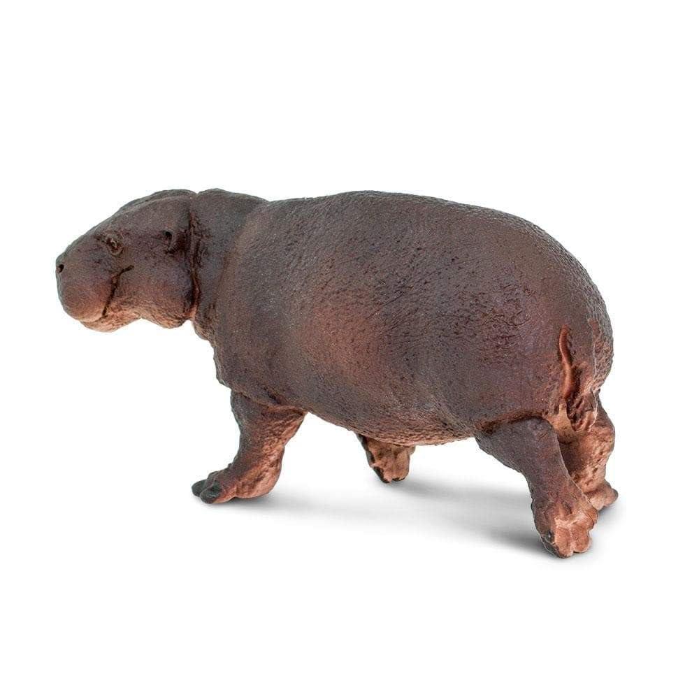 Safari Ltd. Pygmy Hippopotamus Figurine - Lifelike 3.25" Animal Figure - Educational Toy for Boys, Girls, and Kids Ages 3+