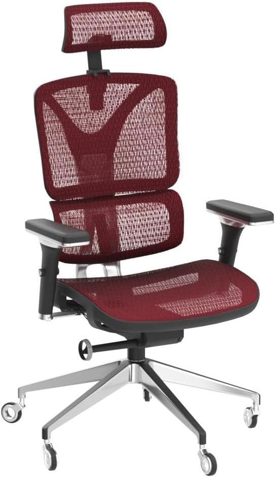 Nouhaus Inc Nouhaus Ergonomic Office Chair Lumbar Support Aluminum Alloy Backrest, Big and Tall Mesh Computer Desk Chair with Adjustable Headrest, 4D Armrest and Premium Wheels