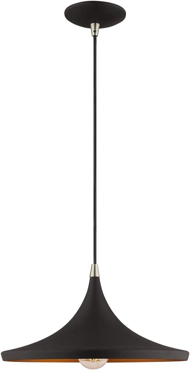 Livex Lighting Metal Shade 1 - Light Chandelier in  Black