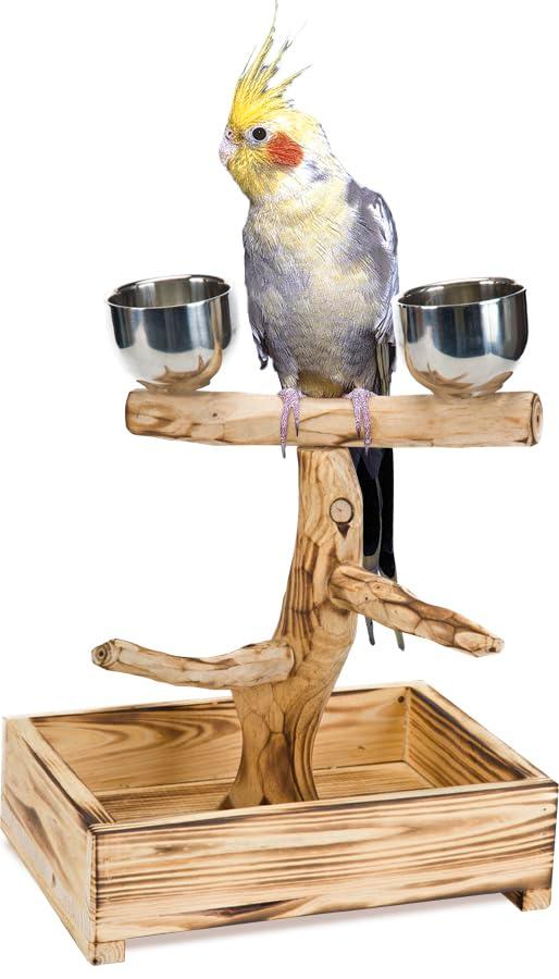 Penn-Plax Bird-Life Natural Wood Tree Perch for Small and Medium Birds, Brown