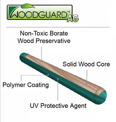 Kidwise Congo Monkey White and Sand Playsystem 4