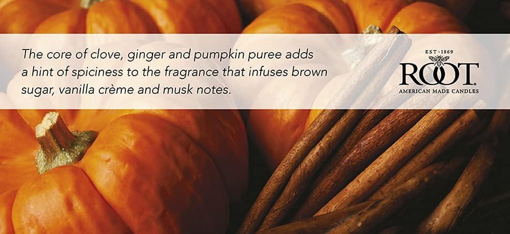 Root Candles Pumpkin Spice Scented Votive Candle (Set of 3)