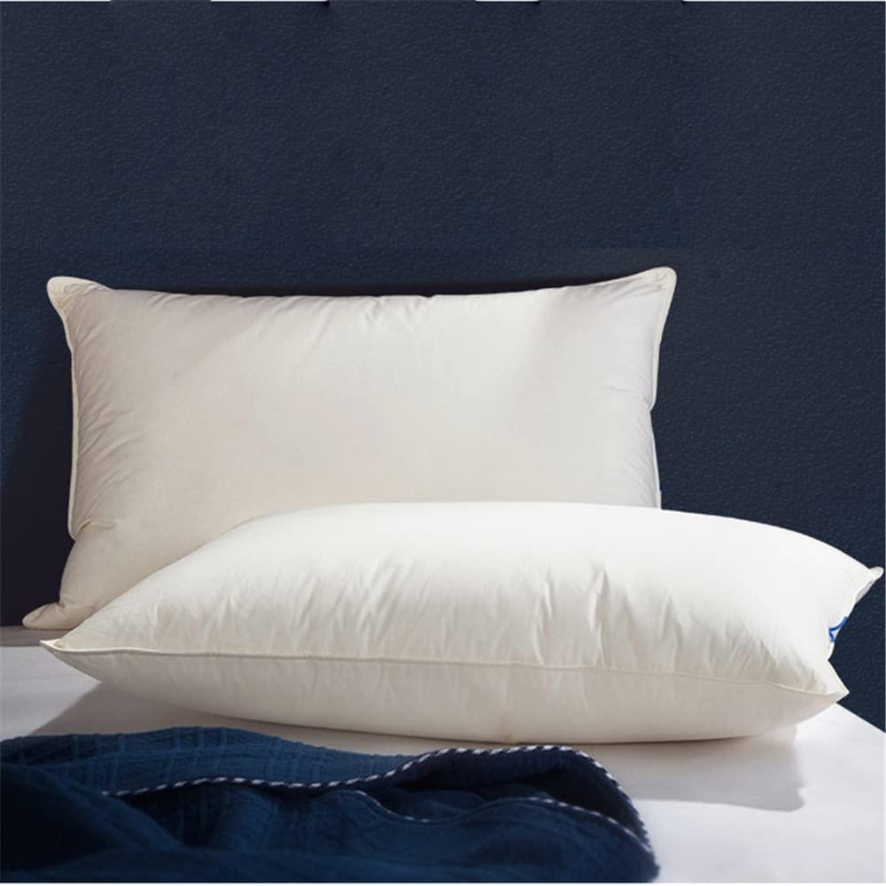 THROW PILLOW, SOFA PILLOW, OUT DOOR PILLOW, COUCH PILLOW, BEDDING PILLOW Inserts (Set of 2, White), 18x18 Inches - Lightweight Fillers for Sofa, Bed, and Home Décor (18x18 Inch (Pack of 2)