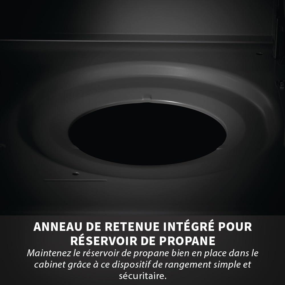 Napoleon Rogue SE Gas Grill with Infrared Rear and Side Burners, Stainless Steel