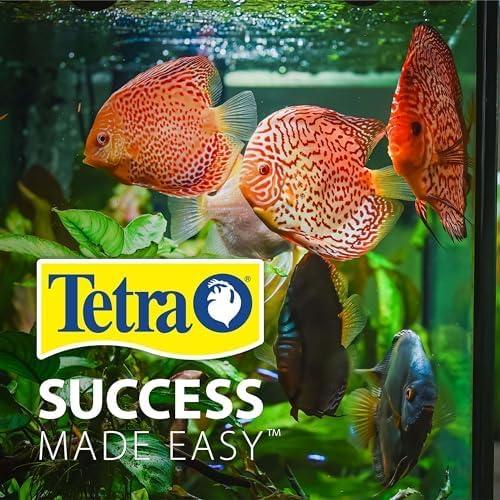 Tetra Bubbling LED Aquarium Kit 1gal Hexagon Shaped with Color-Changing Light Disc Aquarium Decor