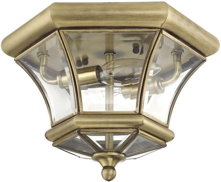 Bronze 2-Light Indoor/Outdoor Flush Mount with Clear Glass