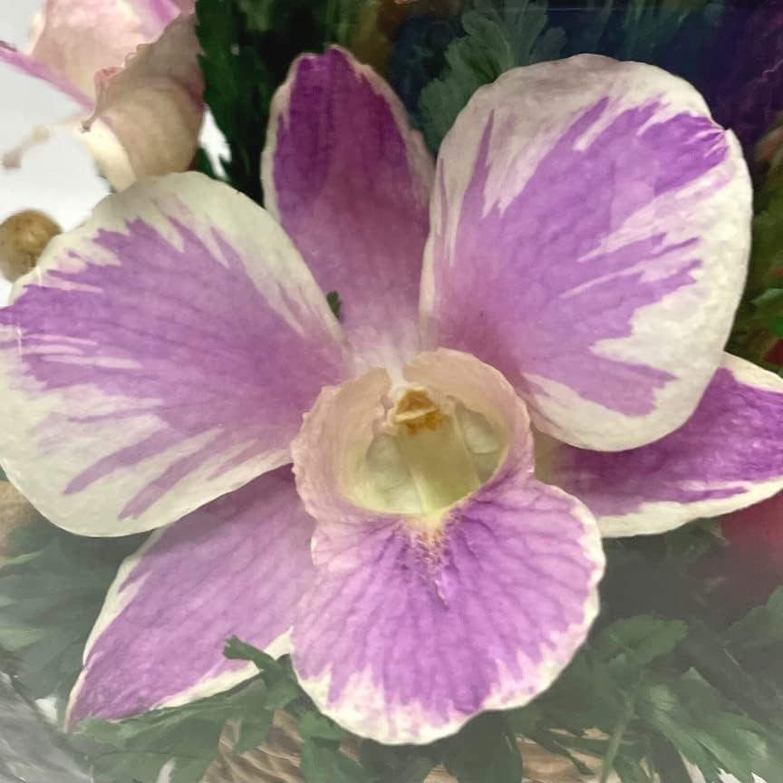 Fiora Flower Long-Lasting Roses and Orchid in a Glass Vase