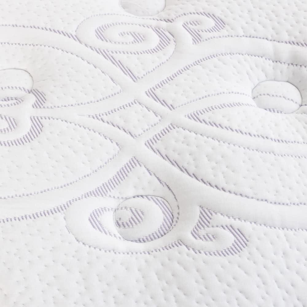 Limited Edition13" Plush Pillow Top Mattress