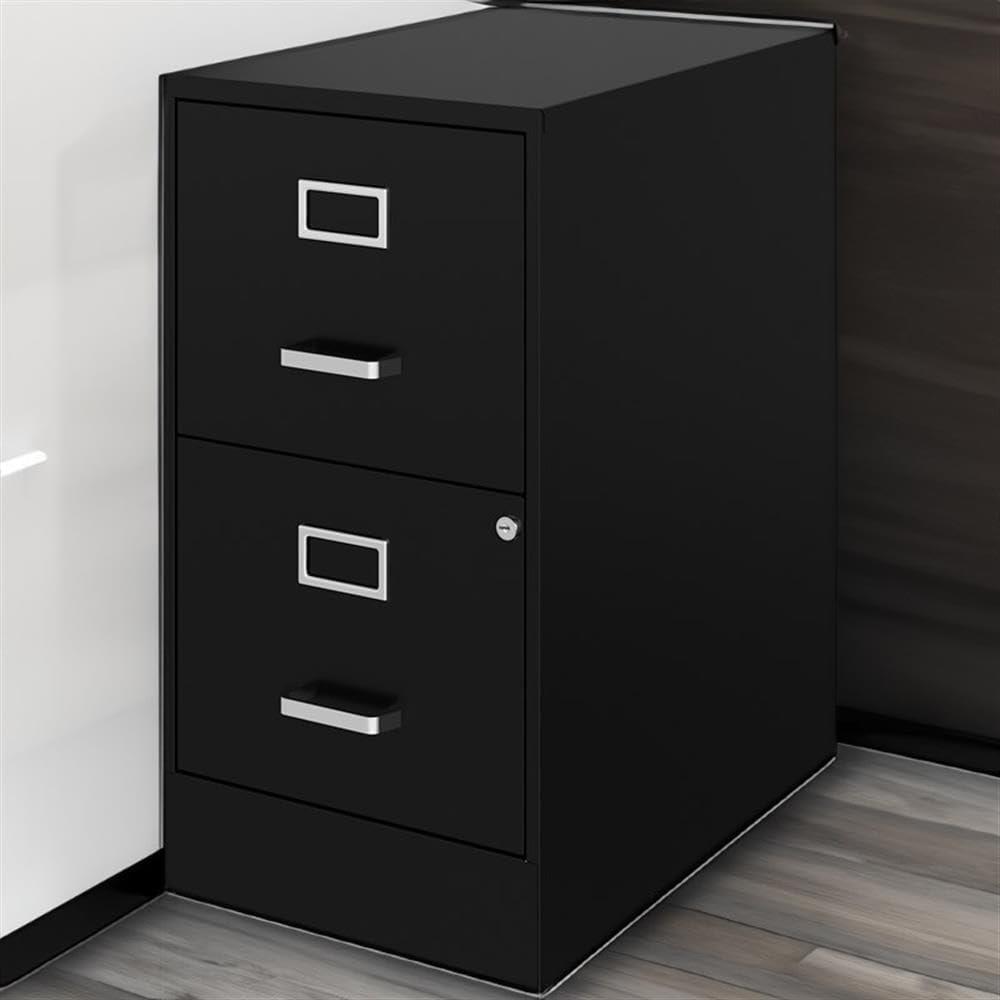 Scranton & Co 22" 2-Drawer Traditional Metal File Cabinet in Black