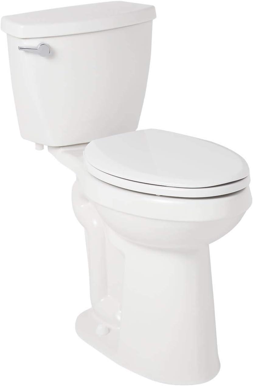 Bradenton 21" High Gloss-enameled Porcelain Two-Piece Elongated Toilet