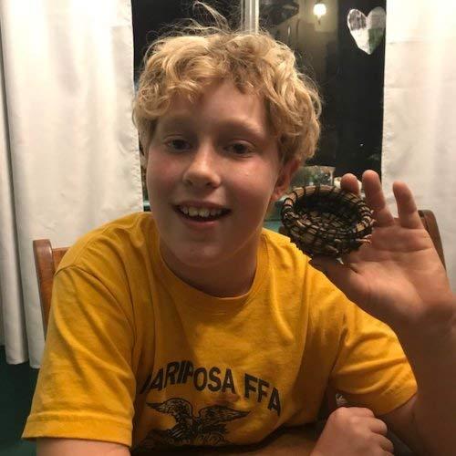 Traditional Craft Kits: Coiled Basket Kit for Beginners - Pine Needle