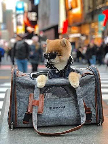 Gold Series Airline Approved Tote - Low Profile, Soft Sided Premium Pet Carrier
