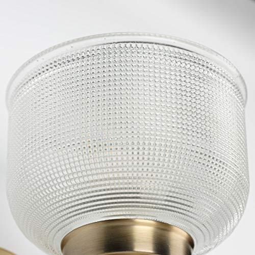 Rosser 3 Light Transparent Dimmable Vanity Light
