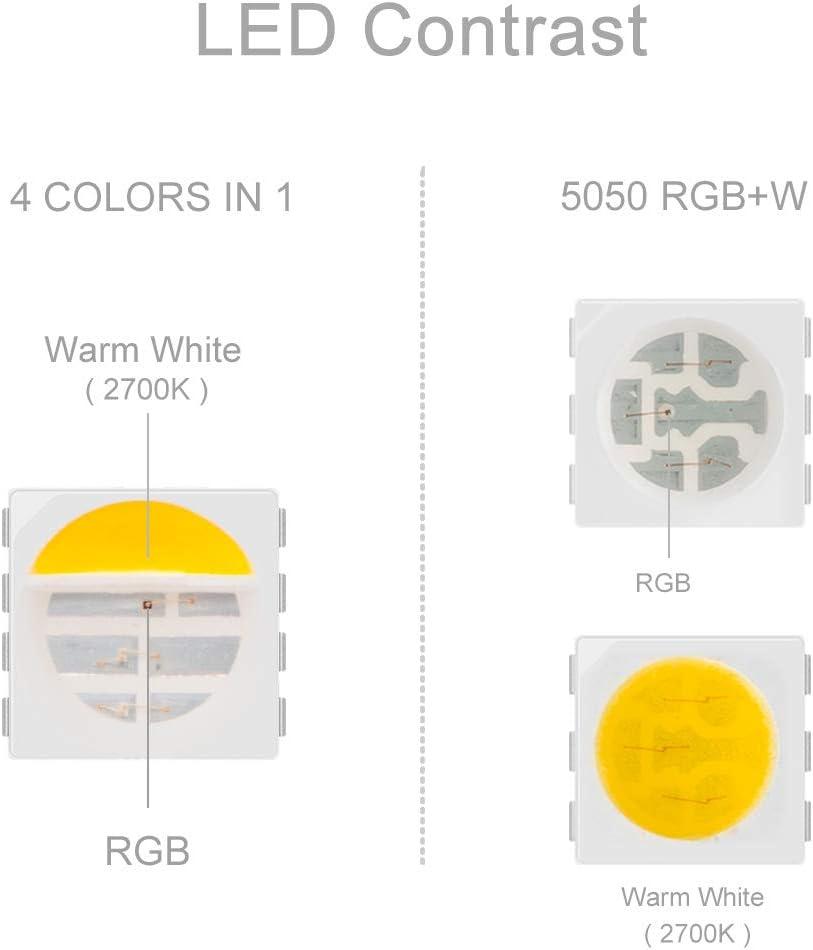 BTF-LIGHTING 5050 RGBW RGB+Warm White(2700K-3000K) 4 Colors in 1 LED Tape Light DC12V 5m 16.4ft 60LED/m Multi-Colored IP30 Black 12mm PCB for Bedroom Kitchen Home Decoration(No Adapter or Controller)