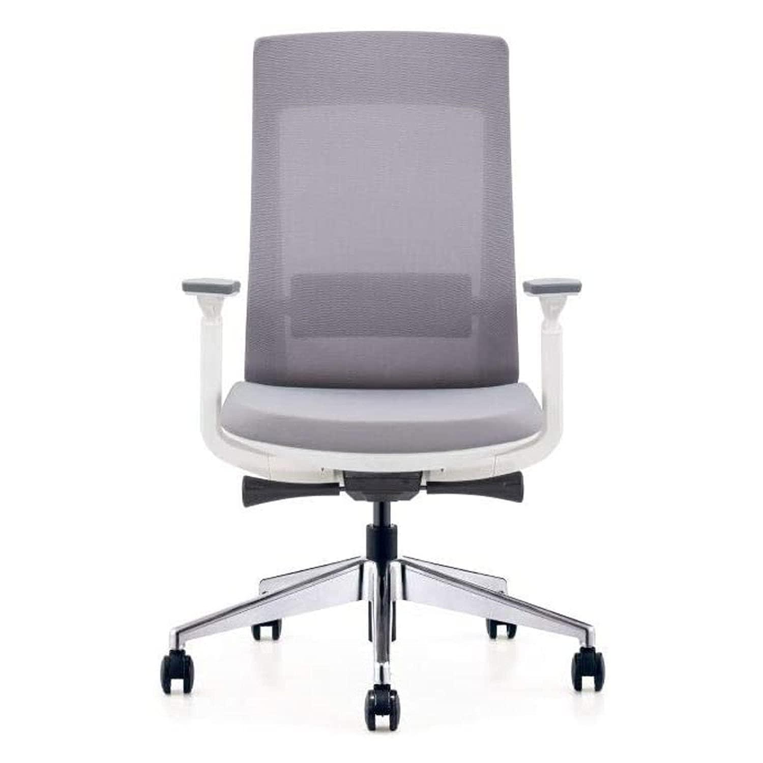 Eurotech Elevate Ergonomic Adjustable Office Chair, White Frame Gray Mesh