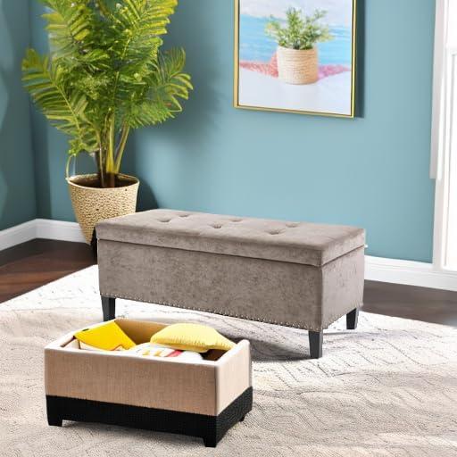 Madison Park FPF18-0197 Shandra II Tufted Top Storage Bench
