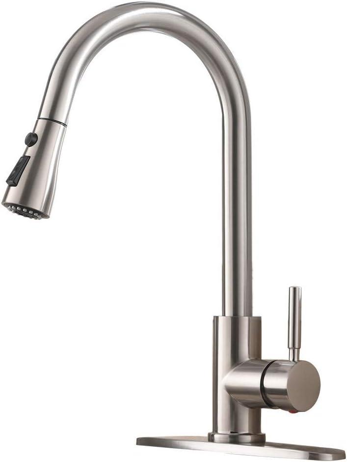 Single Handle High Arc Brushed Nickel Pull Out Kitchen Faucet, Pull Down Sprayer