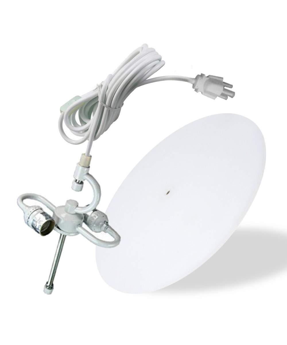 Home Concept 2 Light 16 Inch Swag Hanging Drum Pendant, White Linen