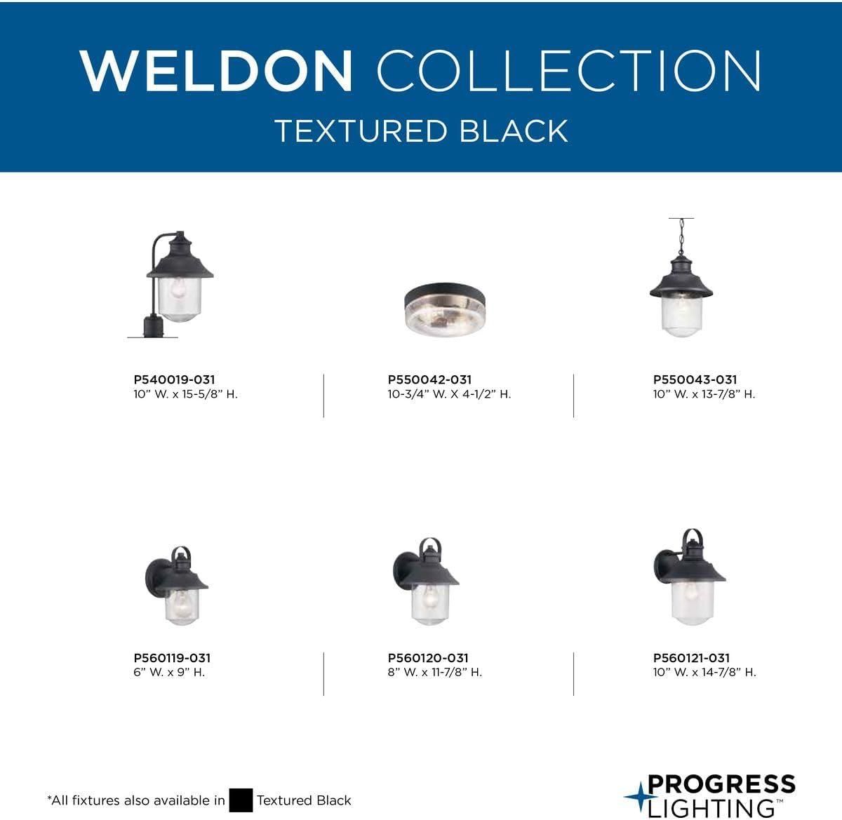 Progress Lighting Weldon 2-Light Flush Mount Ceiling Light in Black with Clear Seeded Glass