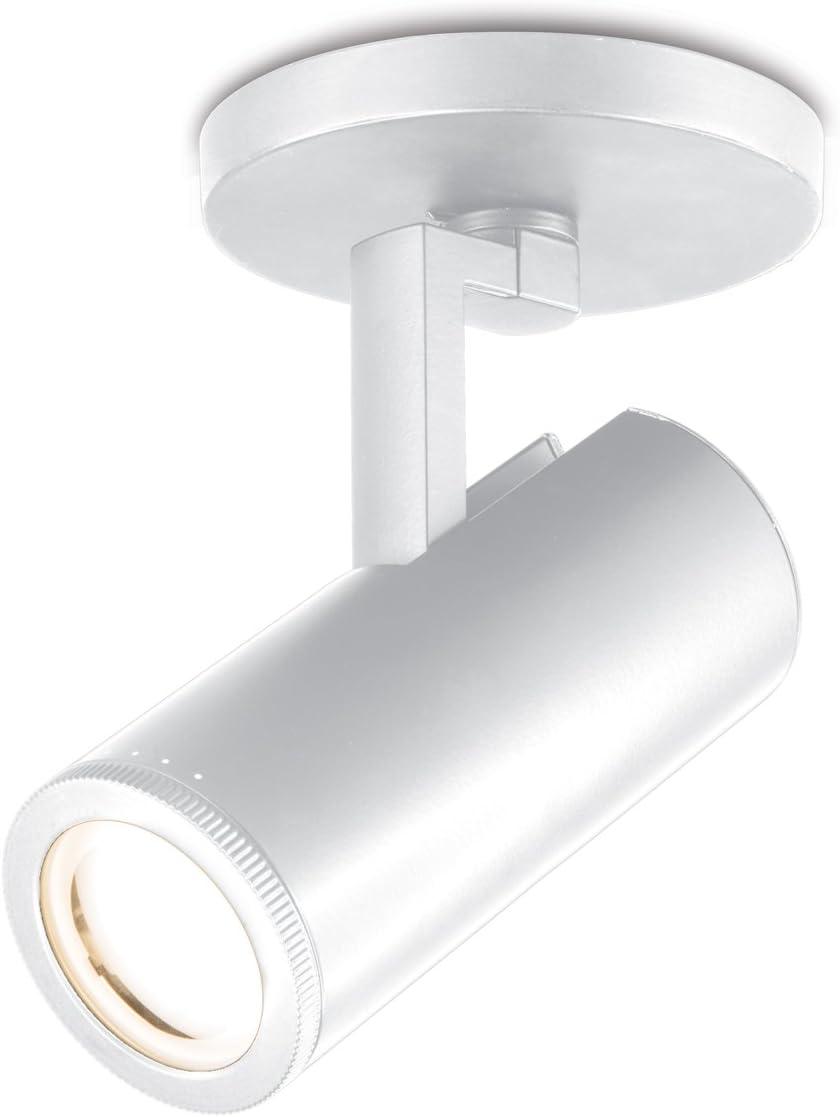 Paloma White Adjustable LED Track Lighting Head with Clear Glass Lens