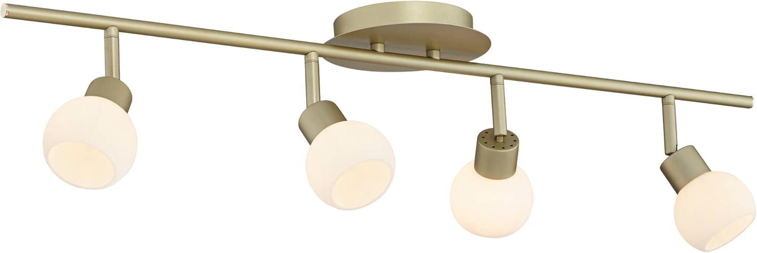 Pro Track Globe 4-Head LED Ceiling Track Light Fixture Kit Plug In Corded Adjustable Gold Brass Finish Modern Kitchen Bathroom Dining 31 3/4" Wide