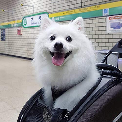 Ibiyaya 5-in-1 EVA Pet Carrier-Stroller