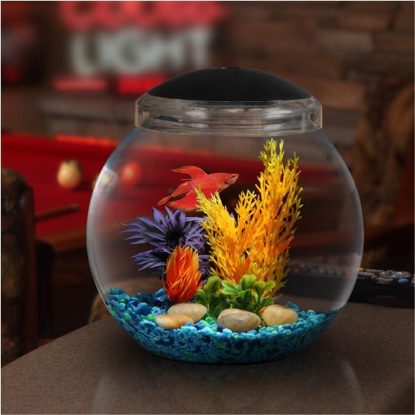 Koller Products 1-Gallon Globe Fish Bowl, Impact- Resistant Plastic Aquarium Starter Kits with LED Lighting, Buit-in Timer, Crystal-Clear Clarity, Desktop Fish Tank for Home Décor