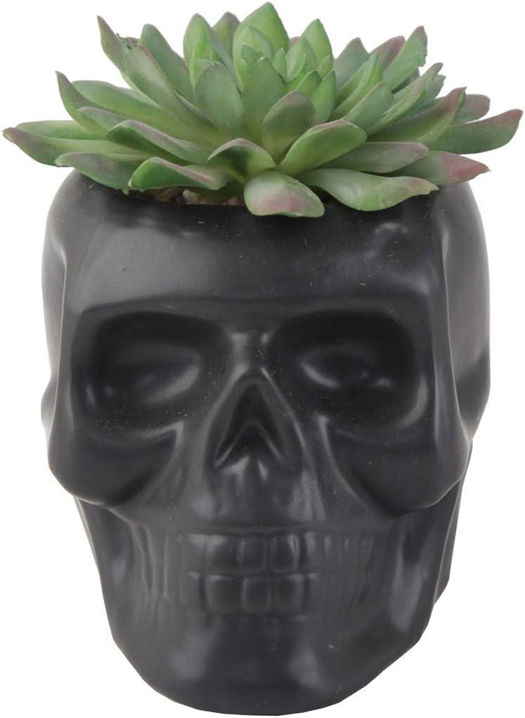 Matte Black Ceramic Day Of The Dead Ghastly Skull Planter Bowl Pot Figurine