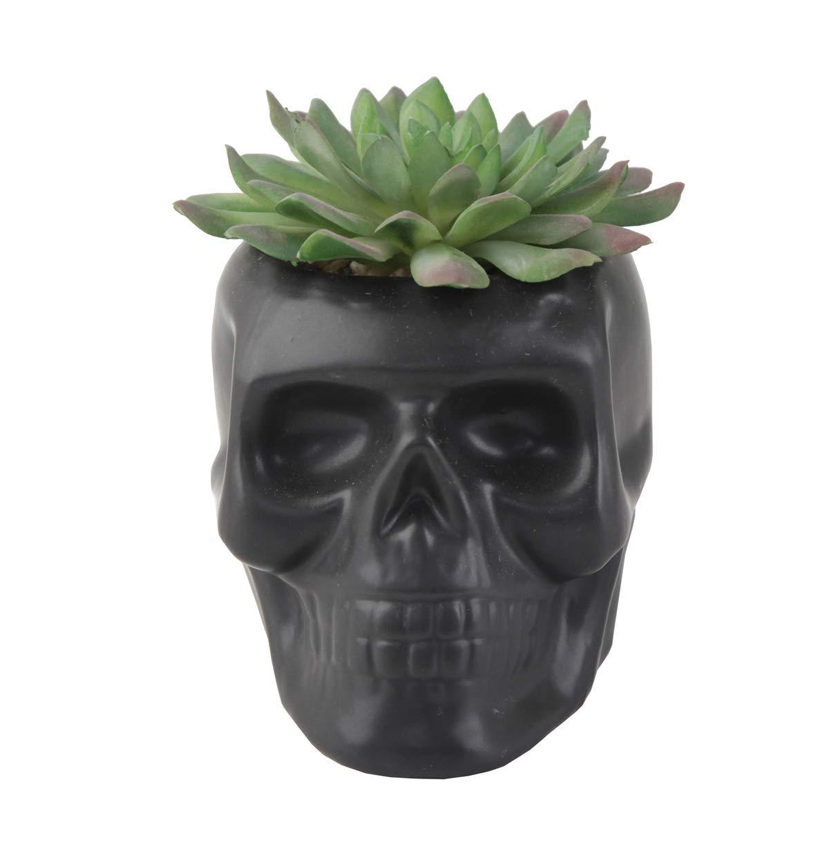 Matte Black Ceramic Day Of The Dead Ghastly Skull Planter Bowl Pot Figurine