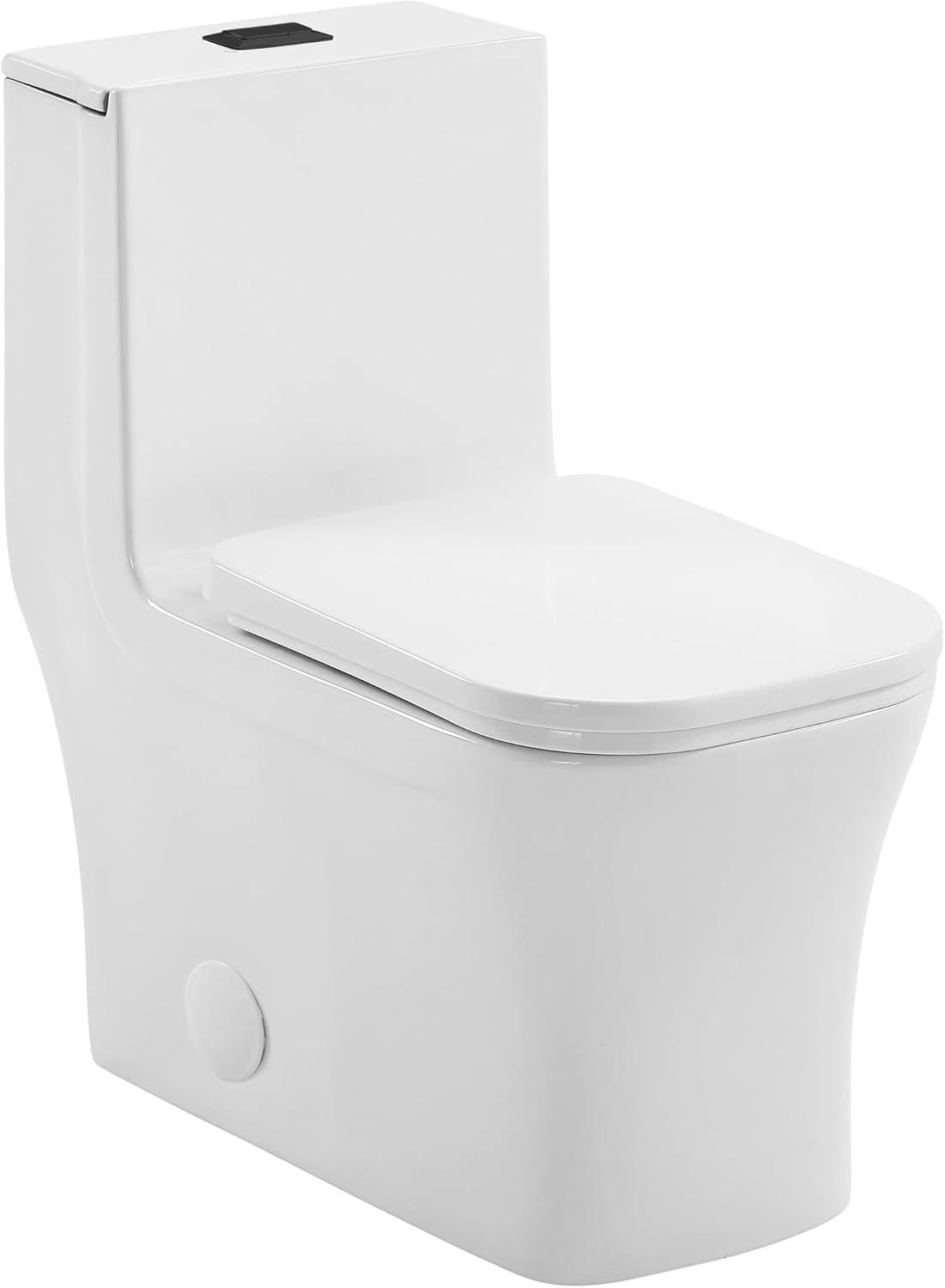 Concorde One Piece Square Toilet Dual Flush, Black Hardware 1.1/1.6 gpf