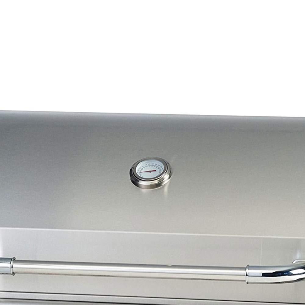 Bull Outdoor Products Liquid Propane Outlaw Drop-In Barbecue Grill Head