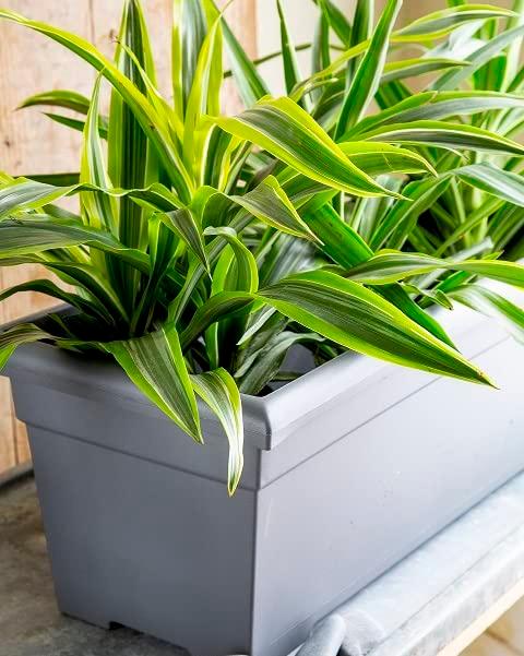 The HC Companies 28 Inch Romana Large Rectangular Planter Box - Lightweight Plastic Outdoor Plant Pot with Drainage for Decks, Patio, Pool, Warm Gray