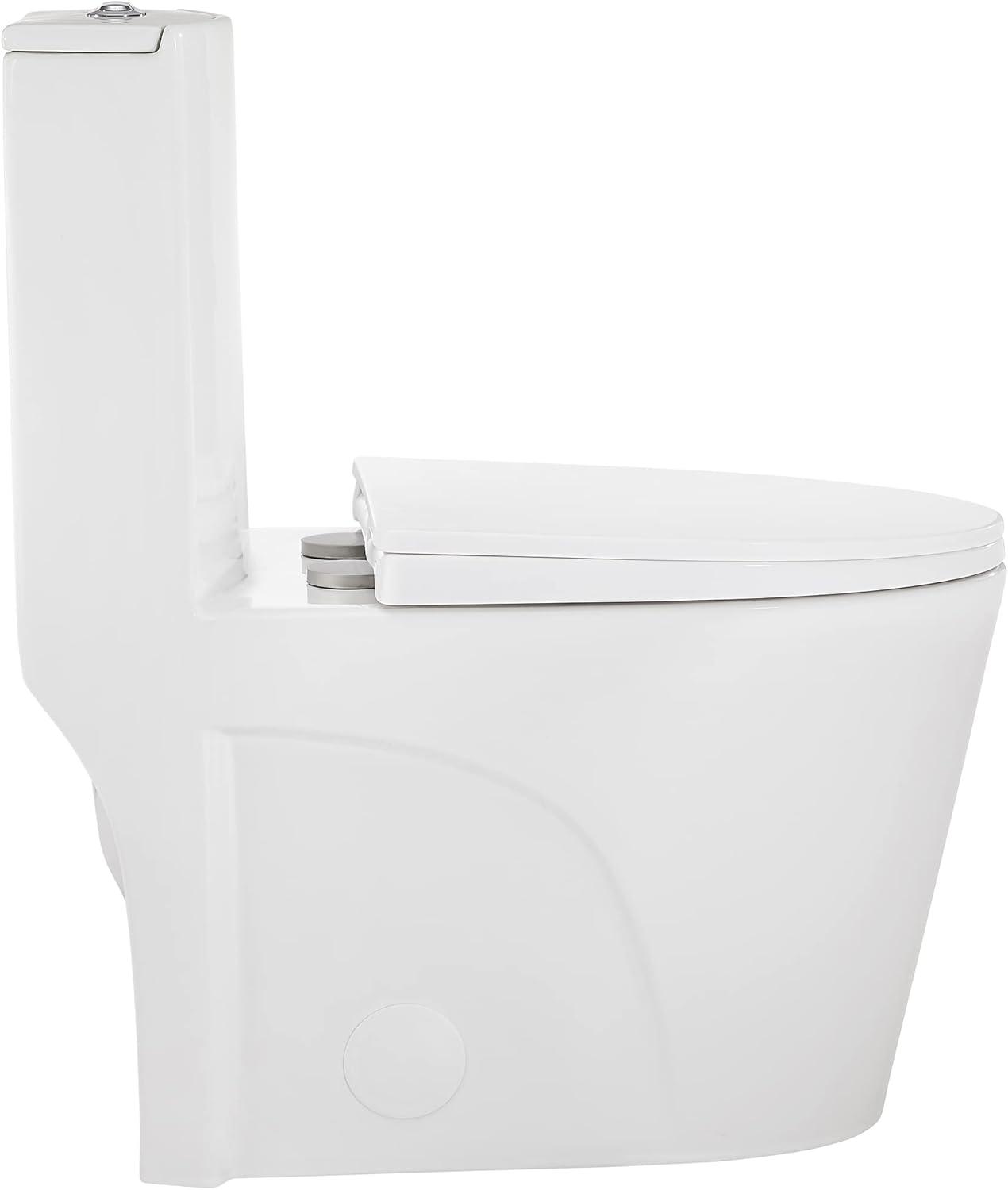 St. Tropez One Piece Elongated Toilet Dual Vortex Flush 1.1/1.6 gpf with 10" Rough In