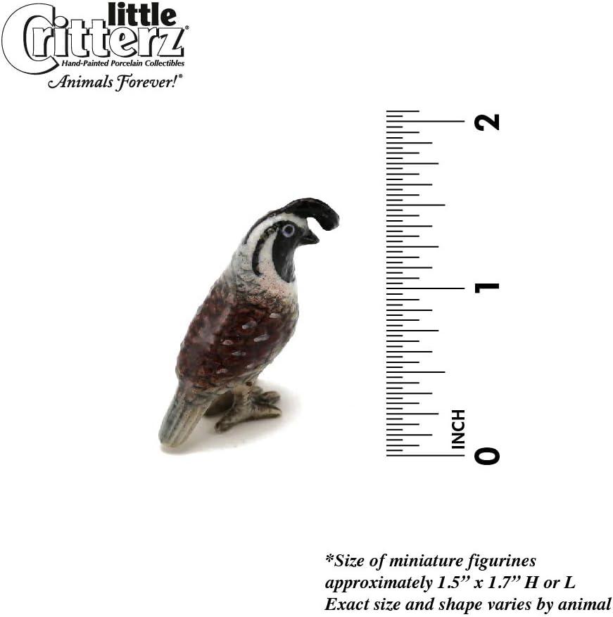 Little Critterz California Quail Valley "Chi-ca-go" Bird - Hand-painted Home Decor Bird Decorative Figurine - Miniature Porcelain Figurine