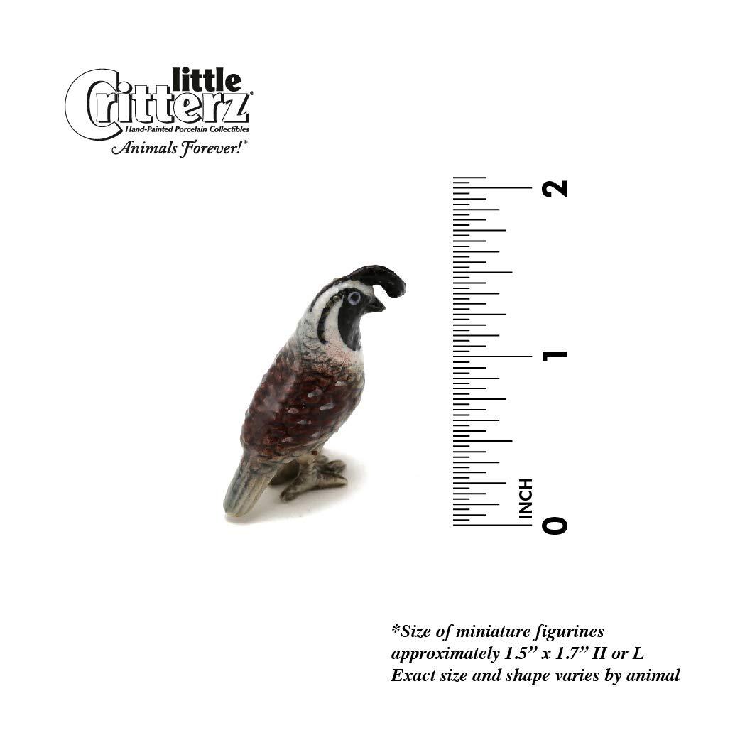 Little Critterz California Quail Valley "Chi-ca-go" Bird - Hand-painted Home Decor Bird Decorative Figurine - Miniature Porcelain Figurine