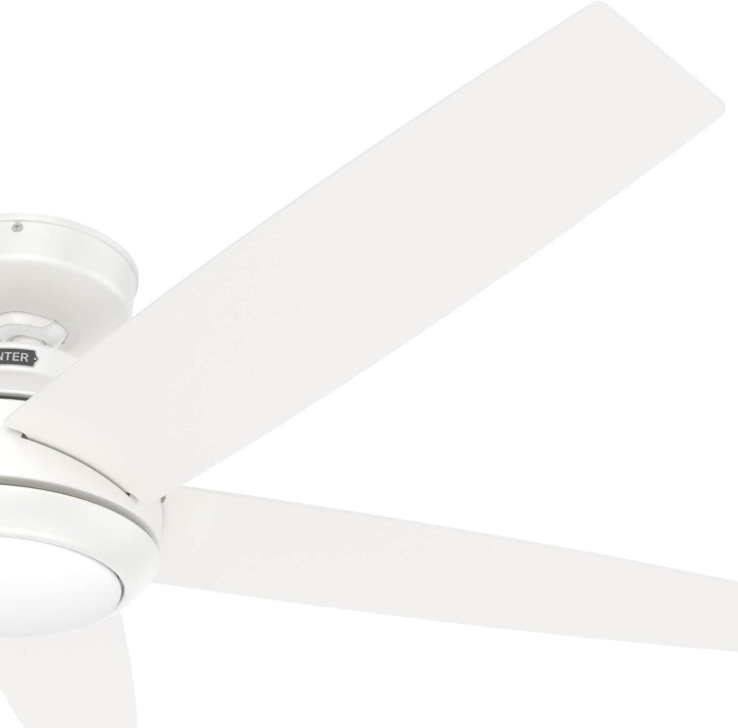 52" Zayden 5 - Blade Ceiling Fan With Lights and Remote