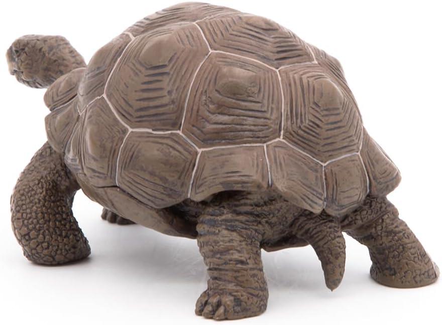 Papo Galapagos Tortoise Toy Figure