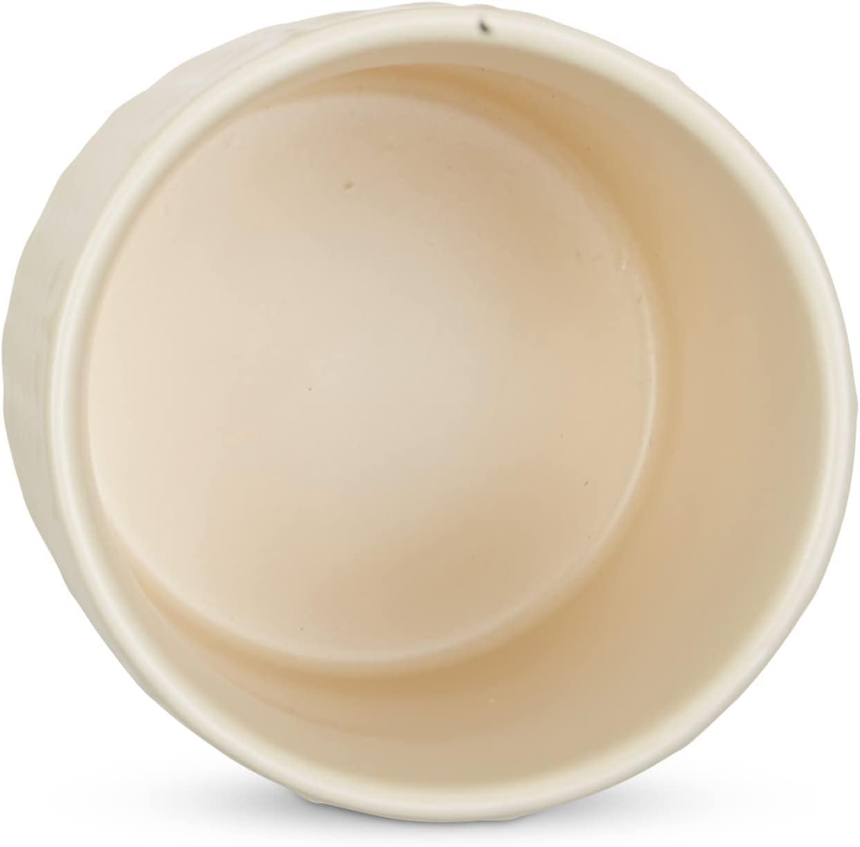 Design Imports Antique White Matte Retro Vine Texture Ceramic Canister Set/3