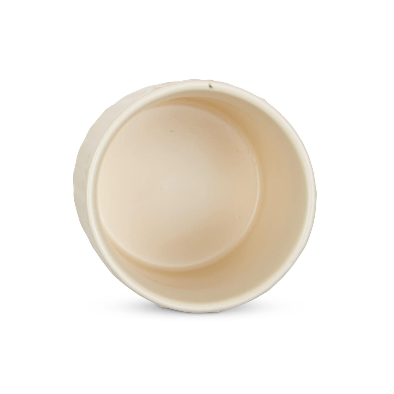 Design Imports Antique White Matte Retro Vine Texture Ceramic Canister Set/3