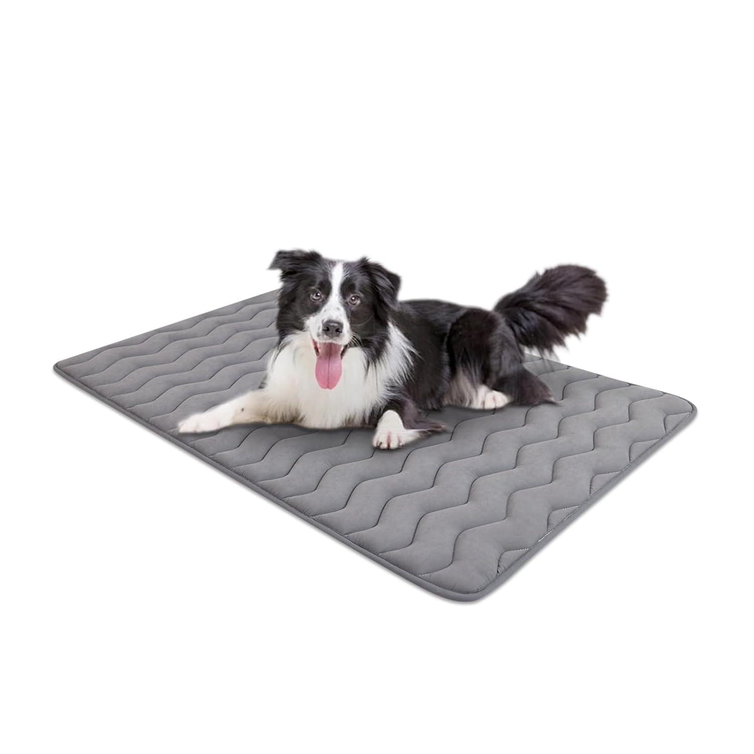 Paw Inspired Washable Padded 42" Crate Mats for Dogs | 41" x 28" Size, Fits 42-inch Kennels | Anti-Slip, Leakproof, Waterproof, Reusable Plush Pet Pads (Gray)