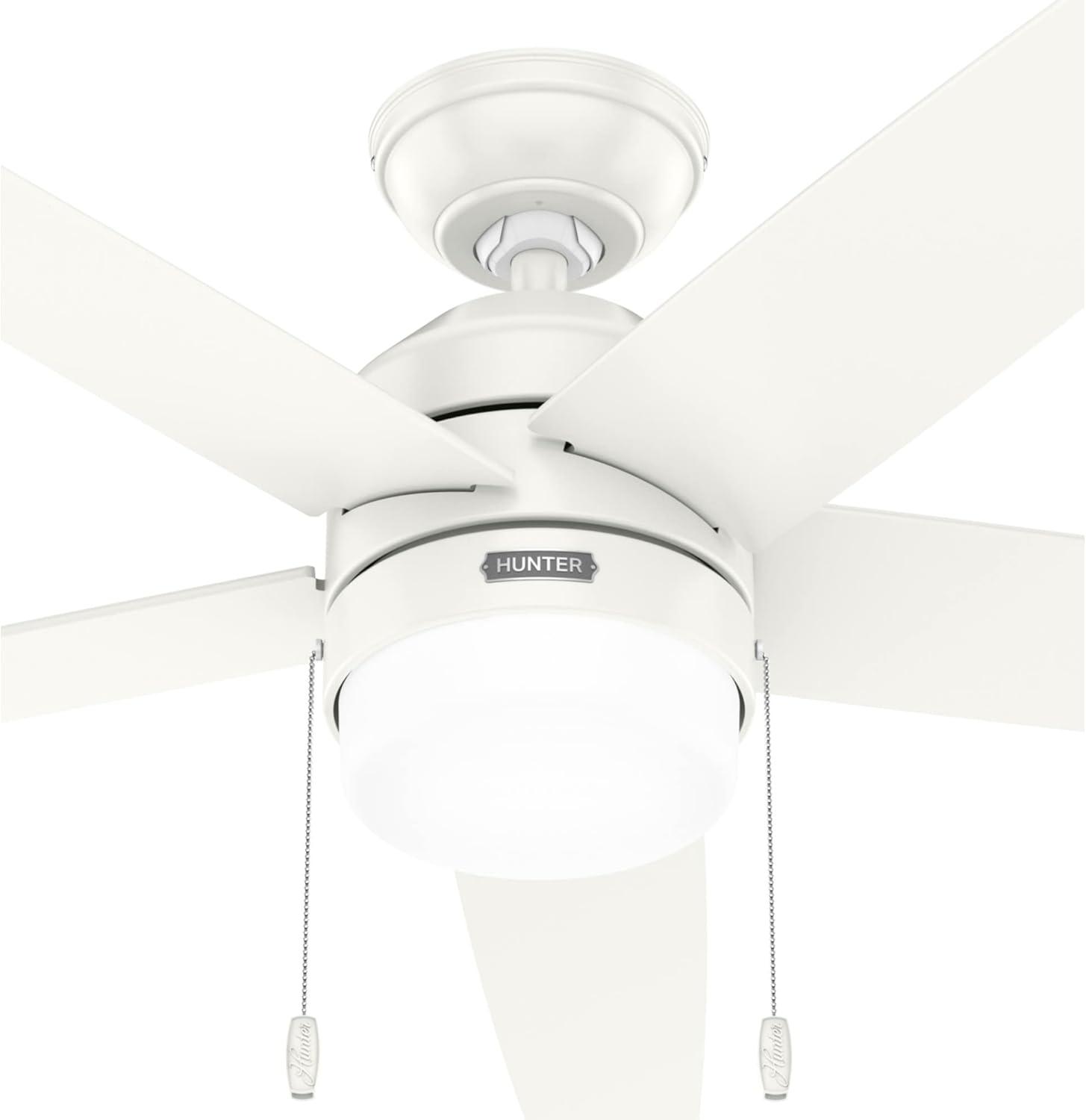 Bardot 52" 5 - Blade Ceiling Fan With Lights and Pull Chains