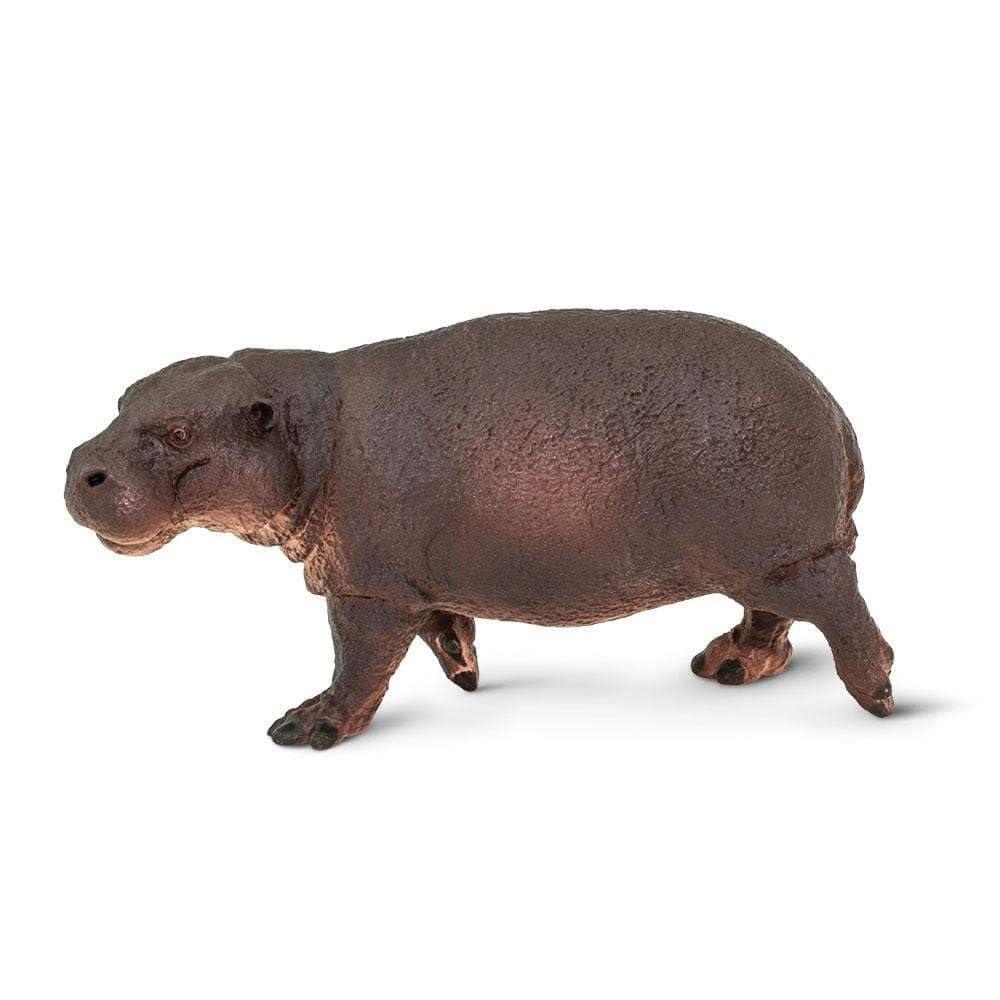 Safari Ltd. Pygmy Hippopotamus Figurine - Lifelike 3.25" Animal Figure - Educational Toy for Boys, Girls, and Kids Ages 3+