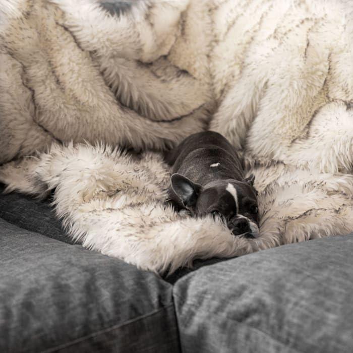 Paw Brands PupProtector Waterproof Throw Blanket