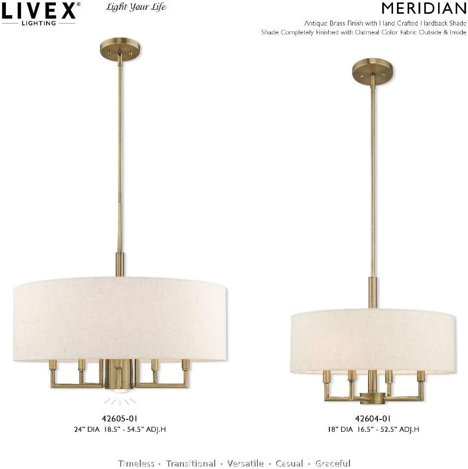 Lighting Lumens 6 - Light Drum Chandelier