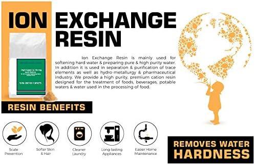 PREMIER FLECK 5600 Whole House Water Softener System | 1.0 cu ft 32,000 Grain (9"x48") 1-3 Person Home