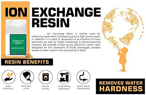 PREMIER FLECK 5600 Whole House Water Softener System | 1.0 cu ft 32,000 Grain (9"x48") 1-3 Person Home