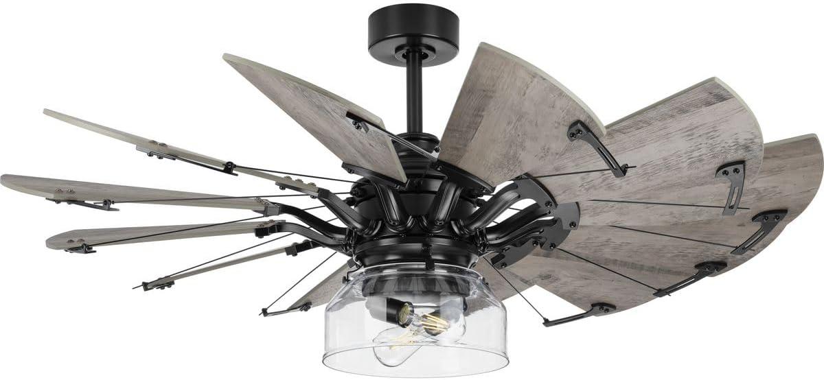 Progress Lighting Springer Collection 2-Light Matte Black Ceiling Fan Shades Clear Glass Light Kit