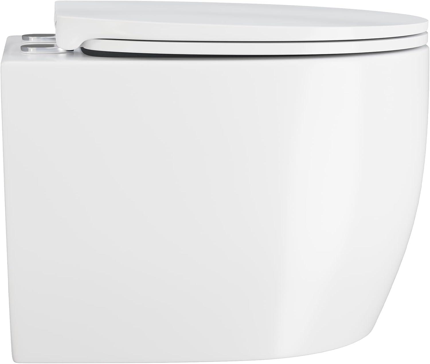 Classe Wall-Hung Elongated Toilet Bowl