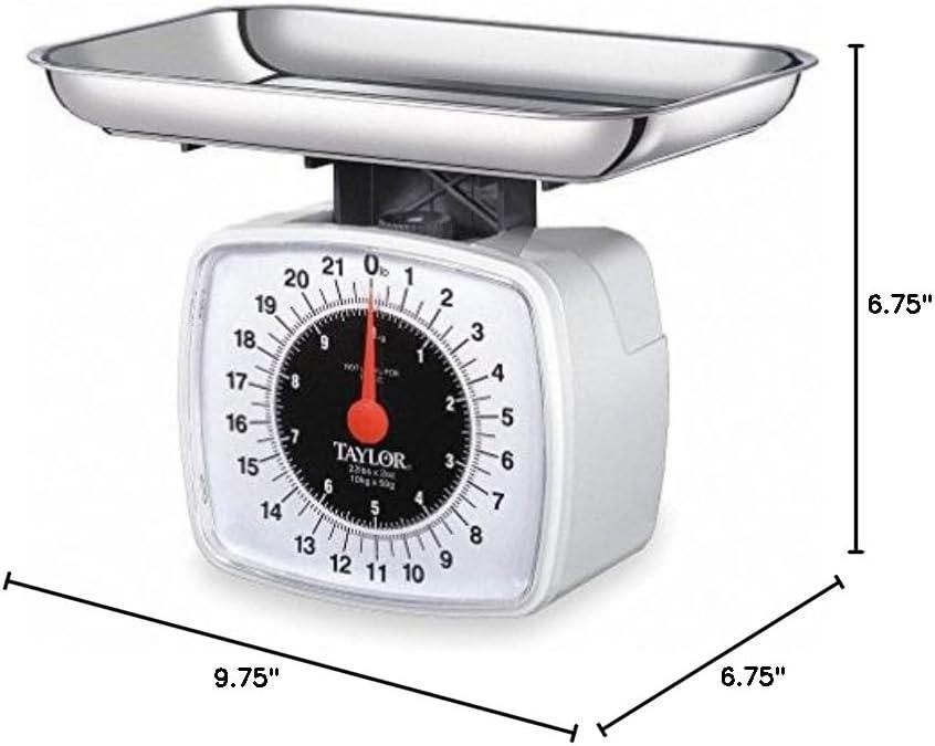 Taylor® Precision Products 3880 Kitchen & Food Scale, 22 Lbs